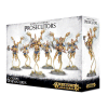 Stormcast Eternals Prosecutors
