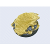 Shale Bases - WRound 50mm (1)