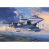 Dassault Rafale M