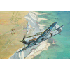Micro Wings Messerschmitt Bf109E