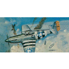 Micro Wings P-51B Mustang