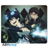 BLUE EXORCIST - podlaga za mi?ko - Yukio and Rin
