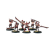 Khador Doom Reavers Unit Box Set