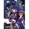 SAINT SEIYA - poster - Had?s? Specters (52x38)