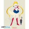 SAILOR MOON - poster - Sailor Moon and Luna (52x38)