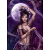 Puzzle Veil,Chris Ortega 1000 pc,Heye 29460