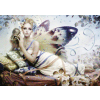 Puzzle Behind th,Mask 1000 Heye 29724 NEW