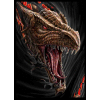9 ?epni album - Dare to Tear