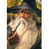 LOTR: Gandalf Art Sleeves Display